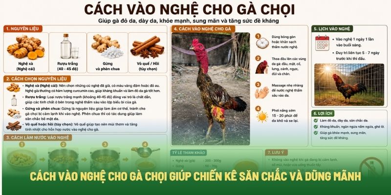 Cách vào nghệ cho gà chọi giúp chiến kê săn chắc và dũng mãnh Cách vào nghệ cho gà chọi giúp chiến kê săn chắc và dũng mãnh