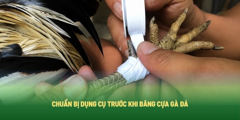 Chuẩn Bị Dụng Cụ Trước Khi Băng Cựa Gà Đá