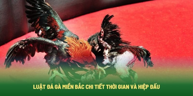 Luật về thời gian và hiệp đấu tại sới gà miền Bắc