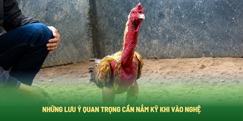 Những Lưu Ý Quan Trọng Cần Nắm Kỹ Khi Vào Nghệ Những Lưu Ý Quan Trọng Cần Nắm Kỹ Khi Vào Nghệ