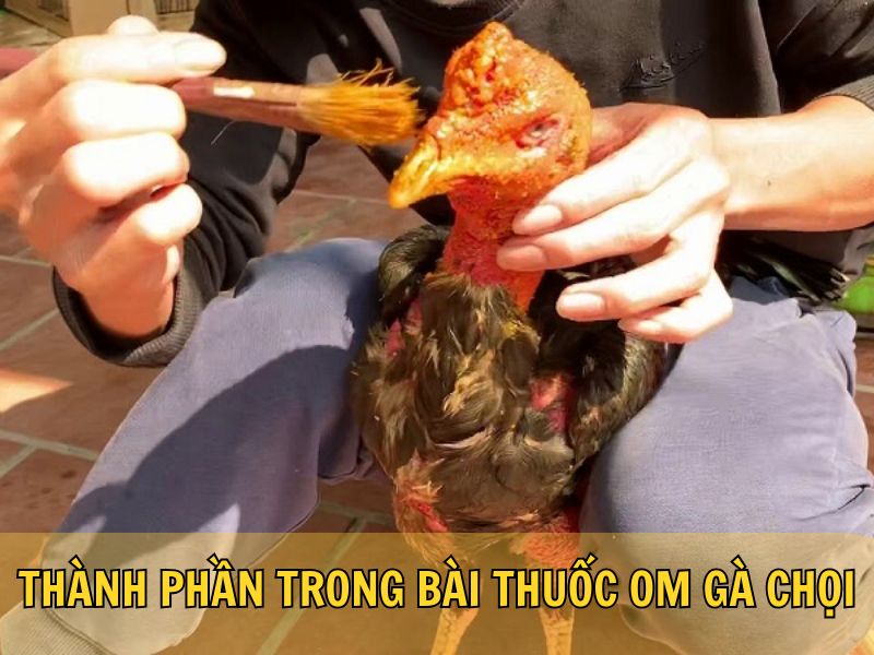 Thành Phần Trong Bài Thuốc Om Gà Chọi Thành Phần Trong Bài Thuốc Om Gà Chọi